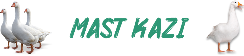MAST KAZI Logo